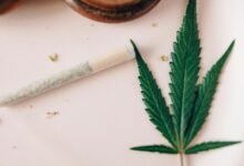 cannabidiol oil for wellness