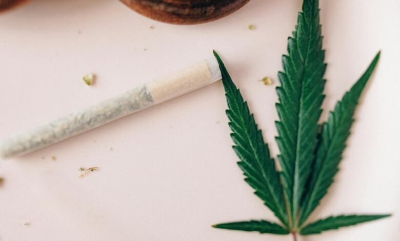 cannabidiol oil for wellness