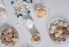 cbd and thc differences