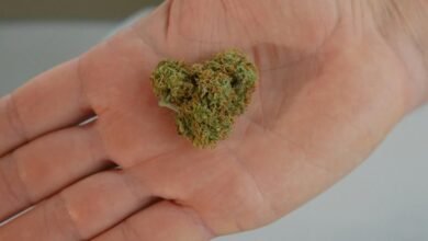 cbd bud texture inquiry