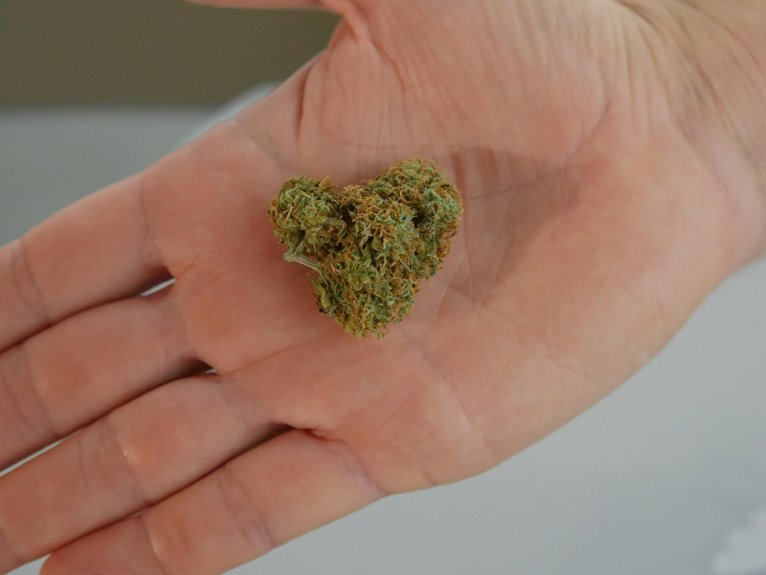 cbd bud texture inquiry