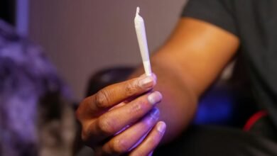 cbd classification indica or sativa