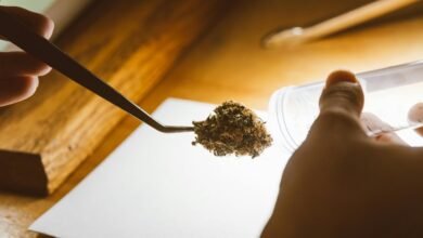 cbd drug test detection