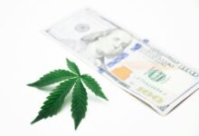 cbd drug test results