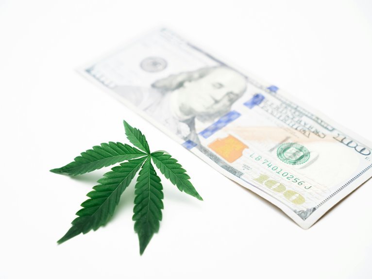 cbd drug test results