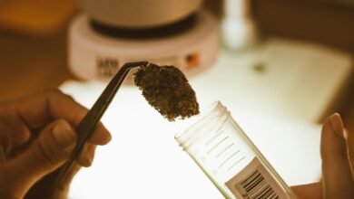 cbd extraction methods explained