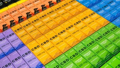 cbd for dog pain