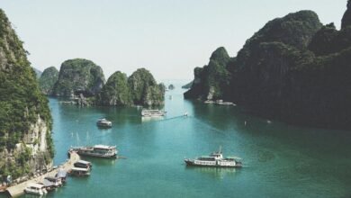 cbd gummies cruise ship policy