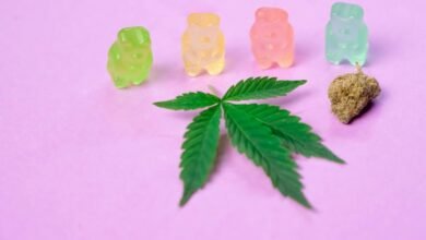 cbd gummies effects explained
