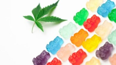 cbd gummies onset time