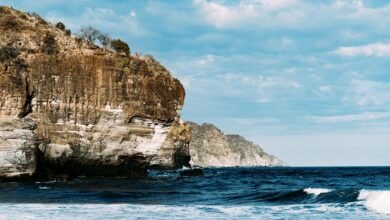 cbd legality in el salvador