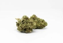 cbd vape pen drug test