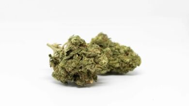 cbd vape pen drug test