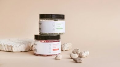 top cbd gummies for pain