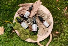 traveling with cbd products
