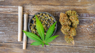 Cannabis Marketing Agency SEO Techniques That Work