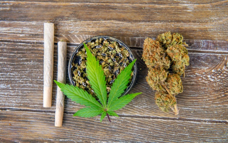 Cannabis Marketing Agency SEO Techniques That Work