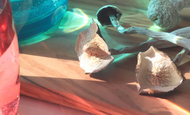 How Slow Living, Inner Awareness, and Psychedelic Microdosing Shape Modern Wellness